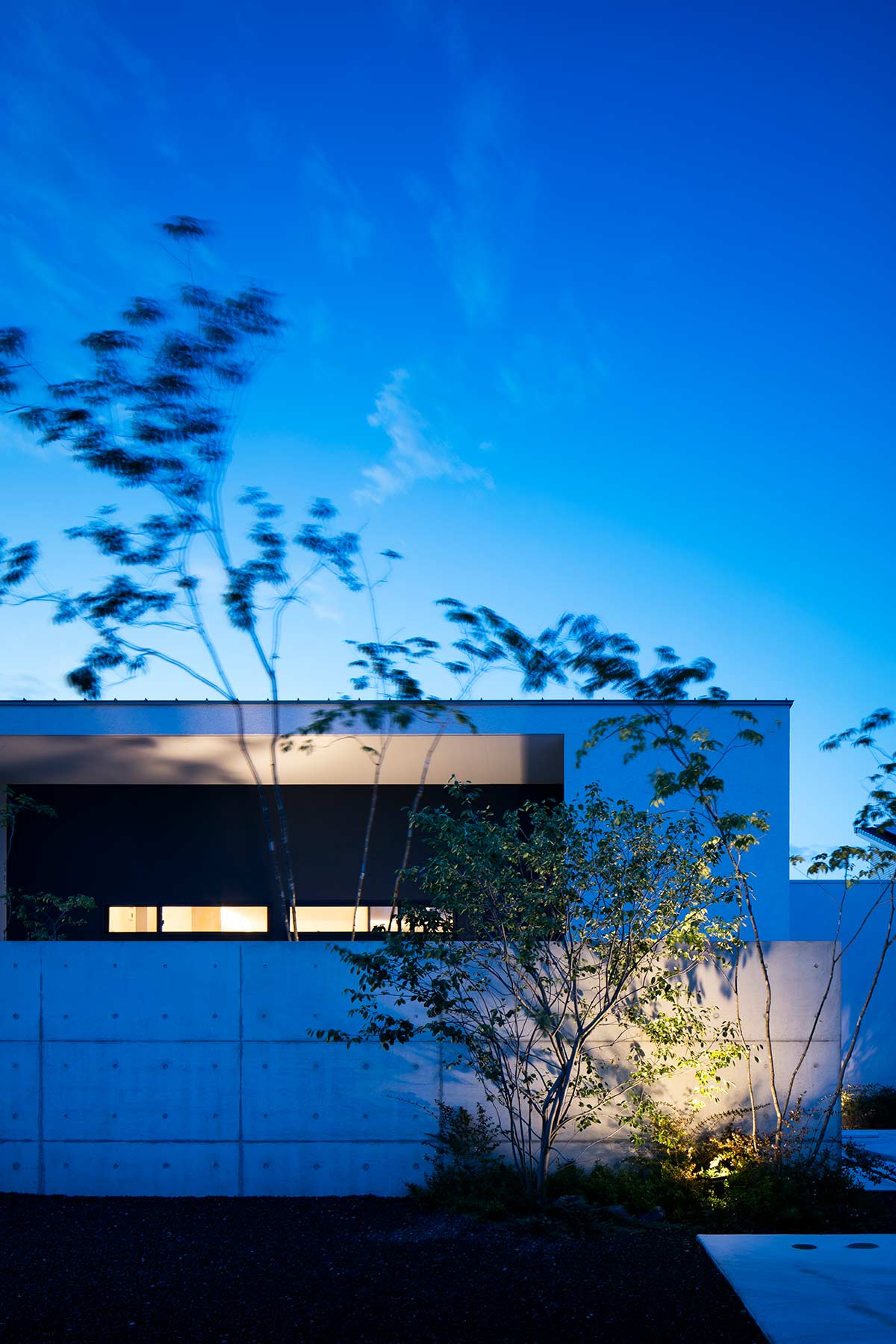 中庭を囲む平屋の家 設計監理 事例